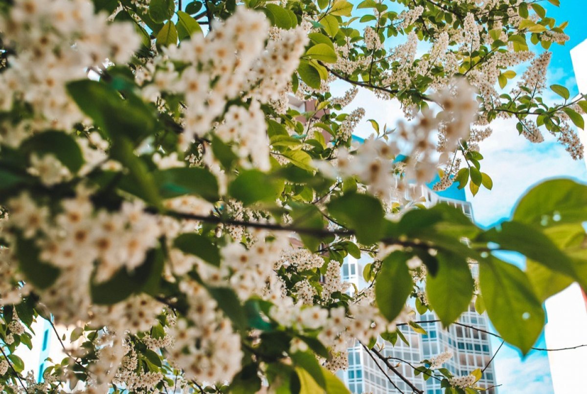 Сразу +113 строчек в международном рейтинге 💪 Сразу +113 строчек в международном рейтинге 💪