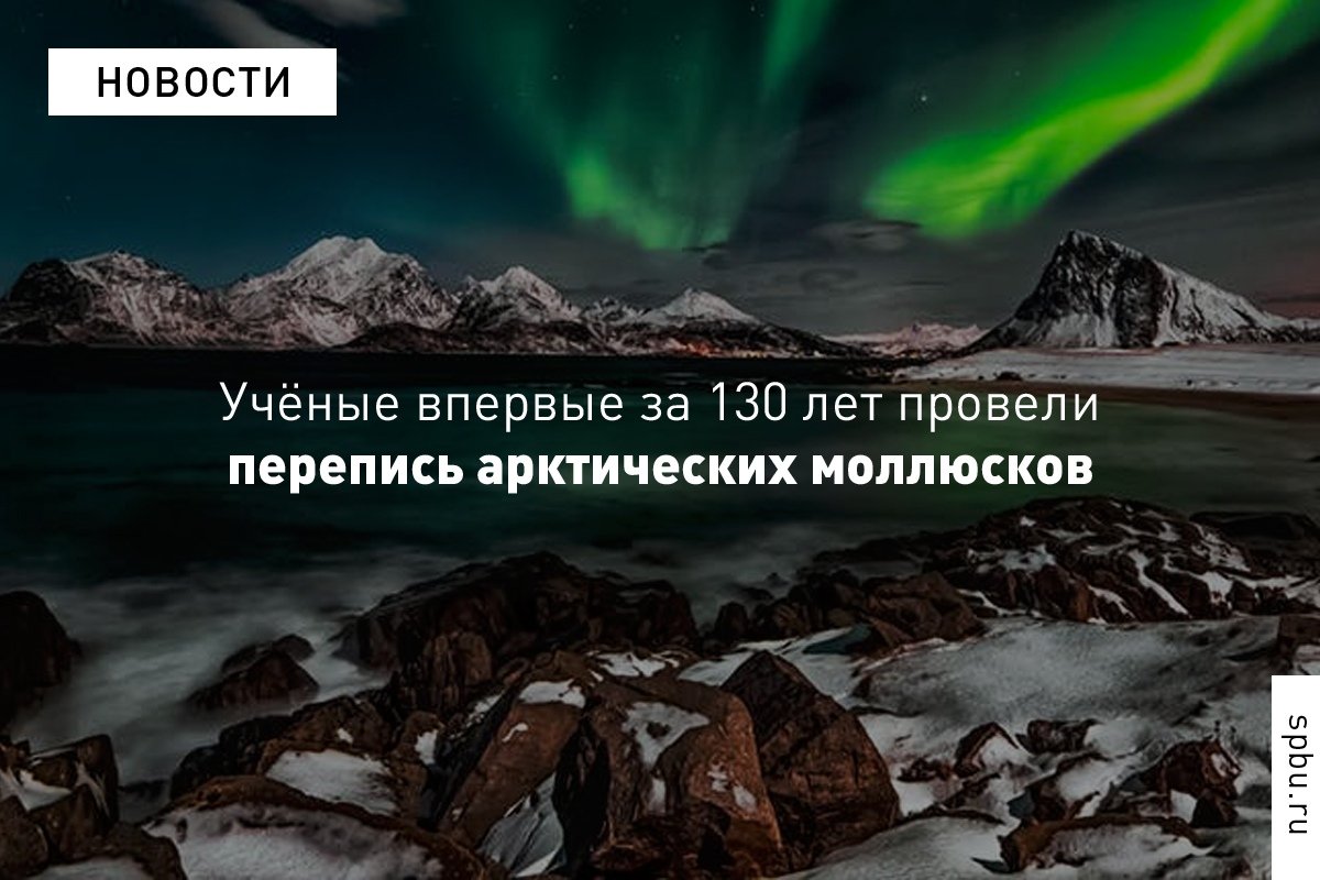 На территорию Арктики сумело проникнуть менее 2% от глобальной фауны пресноводных моллюсков. А выжить в условиях Крайнего Севера им помогли гермафродитизм, умение вмораживаться в лёд и «дружба» с птицами: https://vk.cc/atMrL3 На территорию Арктики сумело проникнуть менее 2% от глобальной фауны пресноводных моллюсков. А выжить в условиях Крайнего Севера им помогли гермафродитизм, умение вмораживаться в лёд и «дружба» с птицами: https://vk.cc/atMrL3