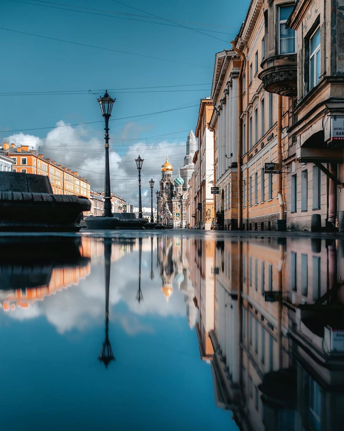 В соответствии с предписанием Главного государственного санитарного врача по городу