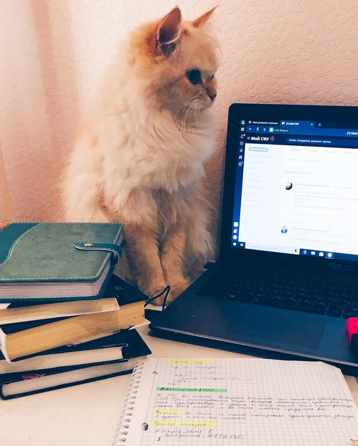 Начинаем готовиться к сессии