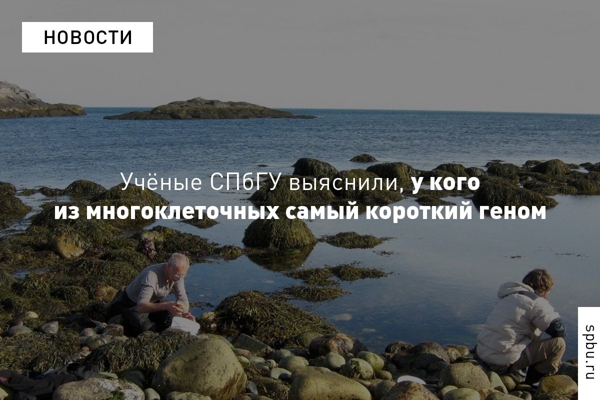 Когда ты самый маленький представитель паразитов и у тебя самый маленький геном среди всех многоклеточных организмов этой планеты: https://vk.cc/atTBlI