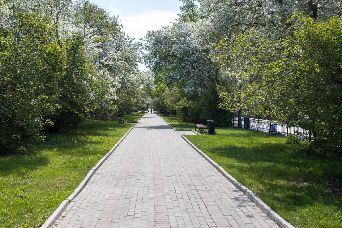 Весна у радиофака