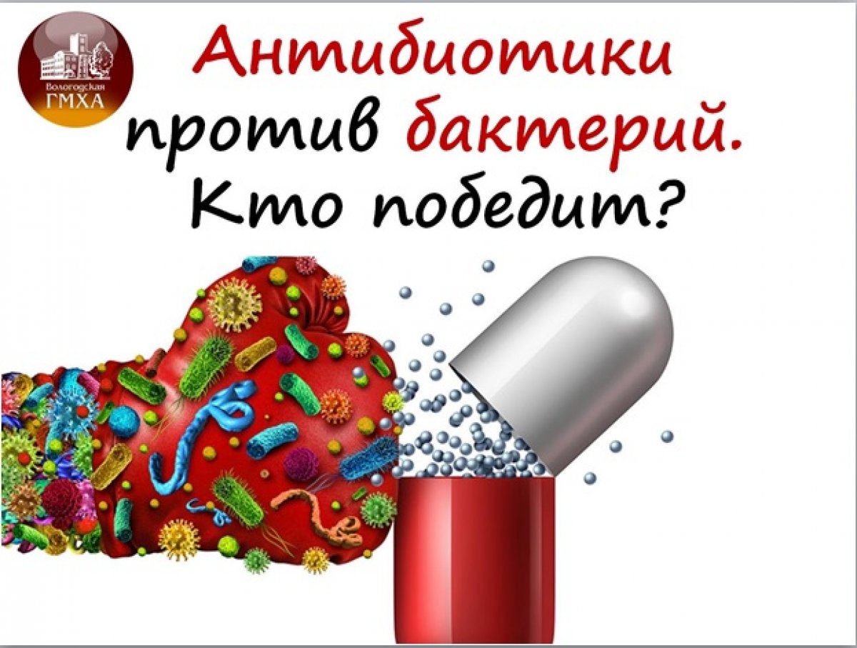 @vgmha Новость от 19-05-2020 @vgmha Новость от 19-05-2020