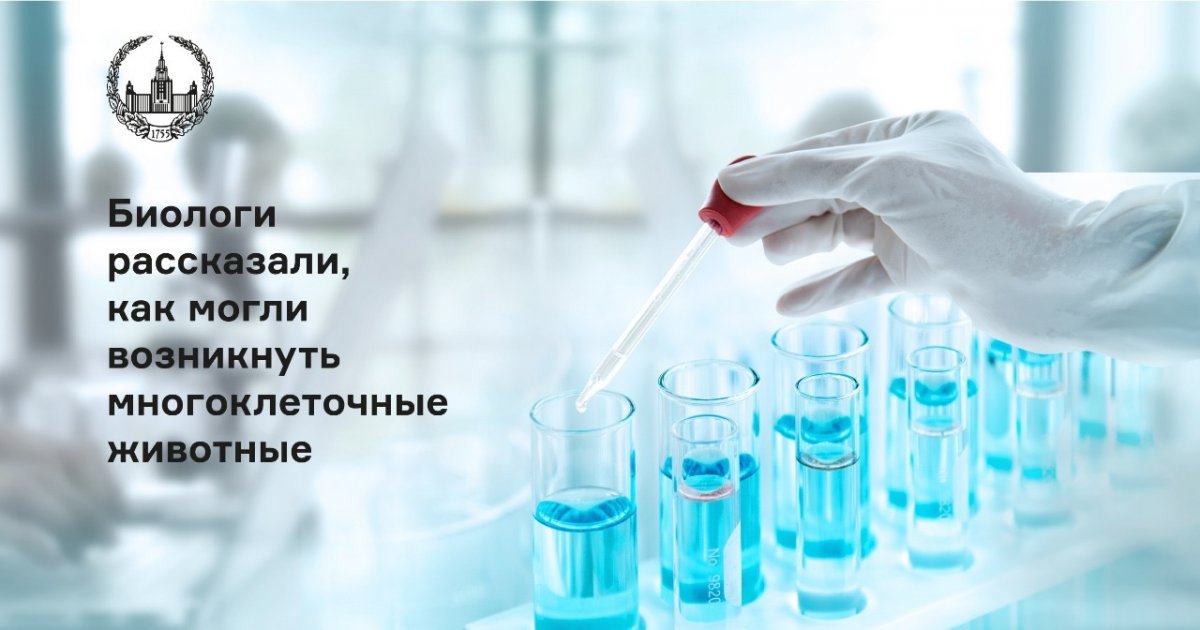 Коллектив биологов, в который вошли и исследователи из Московского университета, открыл микроорганизмы, которые могут пролить свет на вопрос о происхождении многоклеточных животных в процессе эволюции.