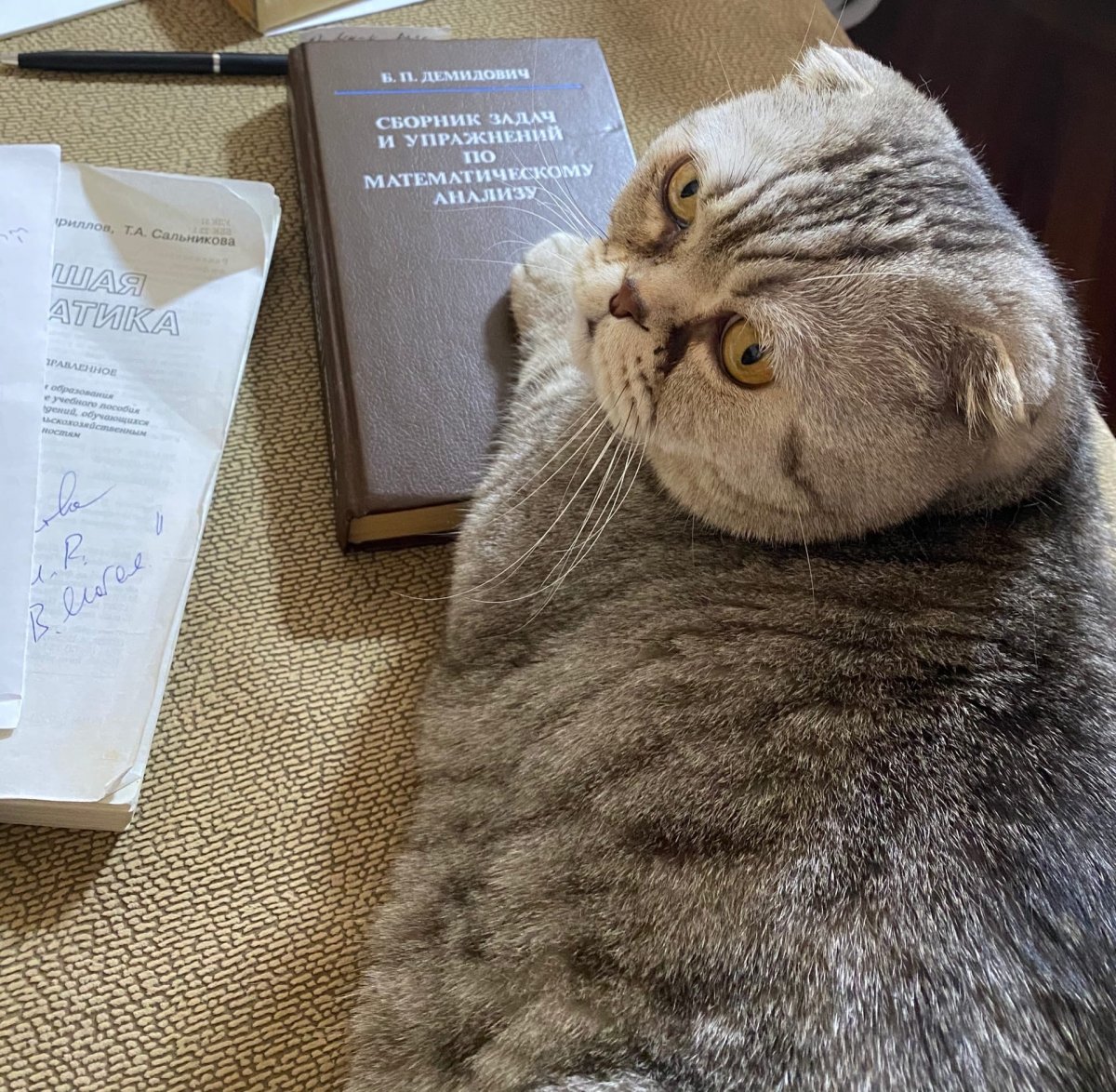 ПОЛИТЕХ-ФОТО