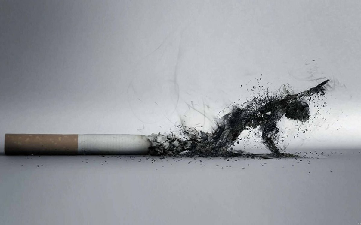 В рамках антинаркотического месячника Тульский областной центр молодежи до 31 мая проводит онлайн тестирование, посвященное Всемирному дню без табака.