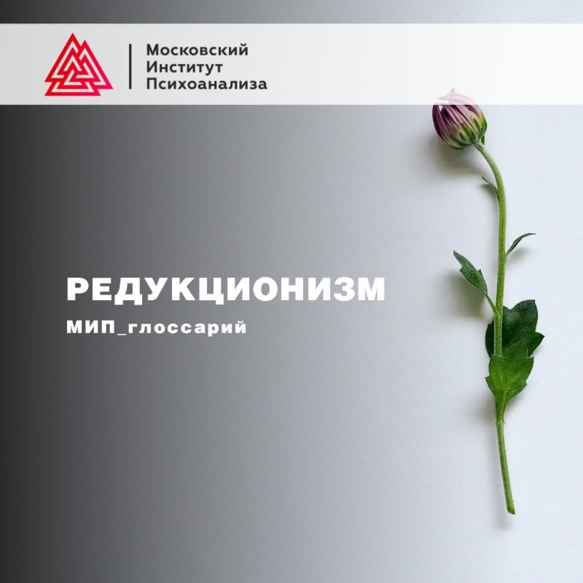 👉 Редукционизм (лат. reductio – возвращение