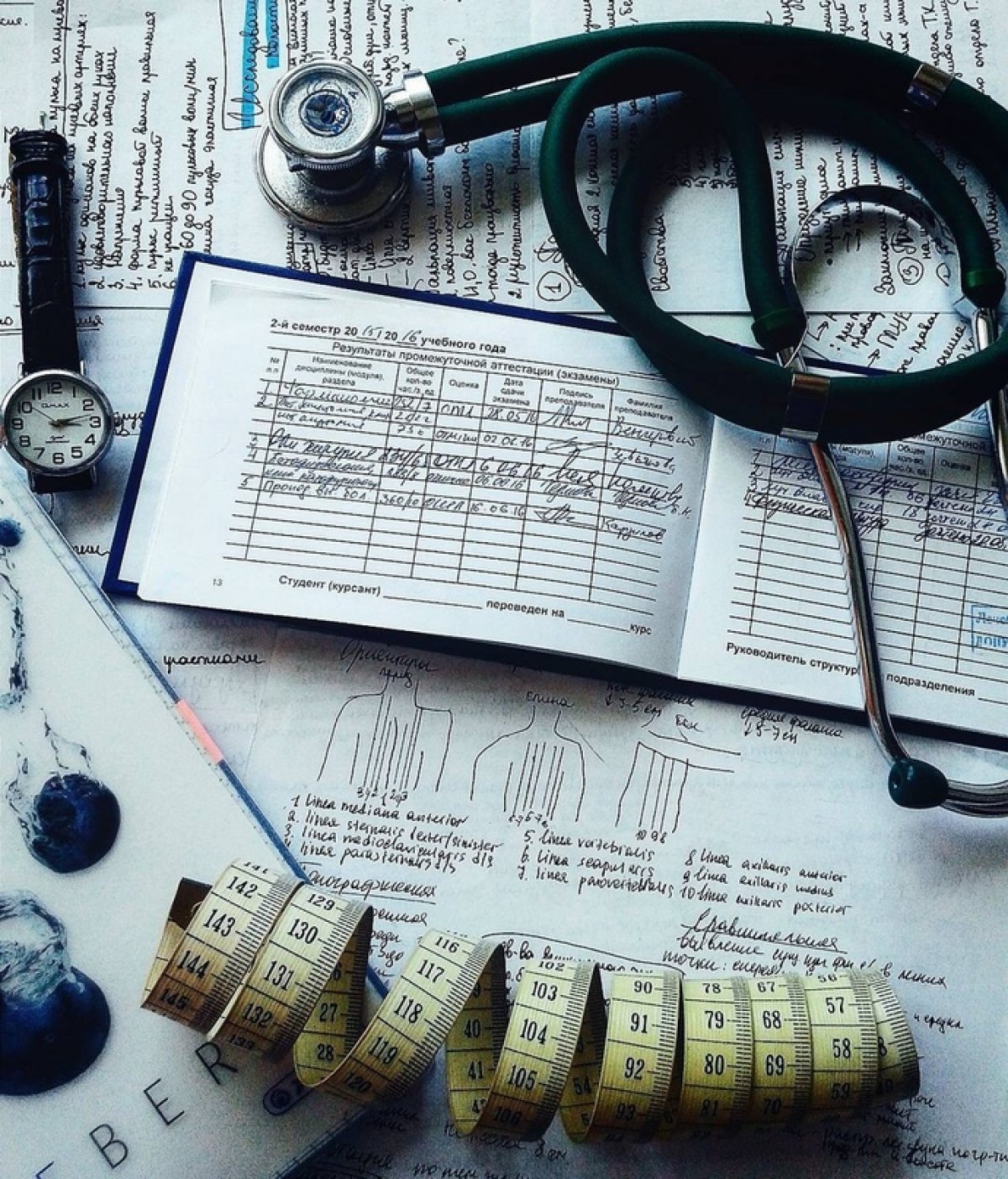 СибГМУ присоединился к инициативе ТГУ и организовал студенческую биржу труда😃