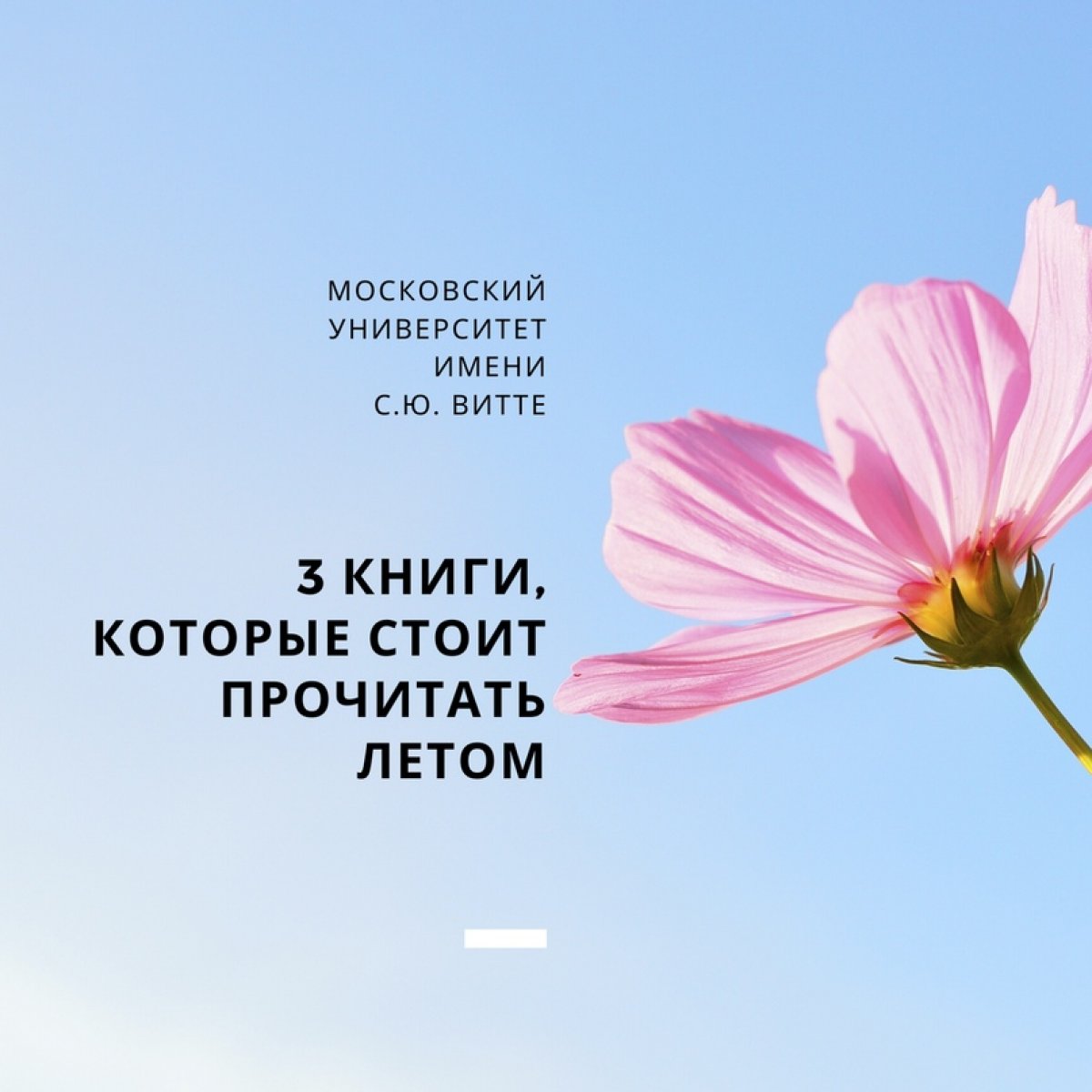 3 книги, которые стоит прочитать этим летом😊