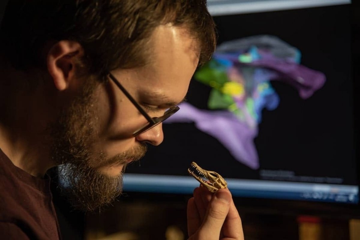 Аспирант Иван Кузьмин весь период самоизоляции погружён в научную работу по гранту Российского фонда фундаментальных исследований, которая посвящена исследованию мозгового отдела черепа современных крокодилов