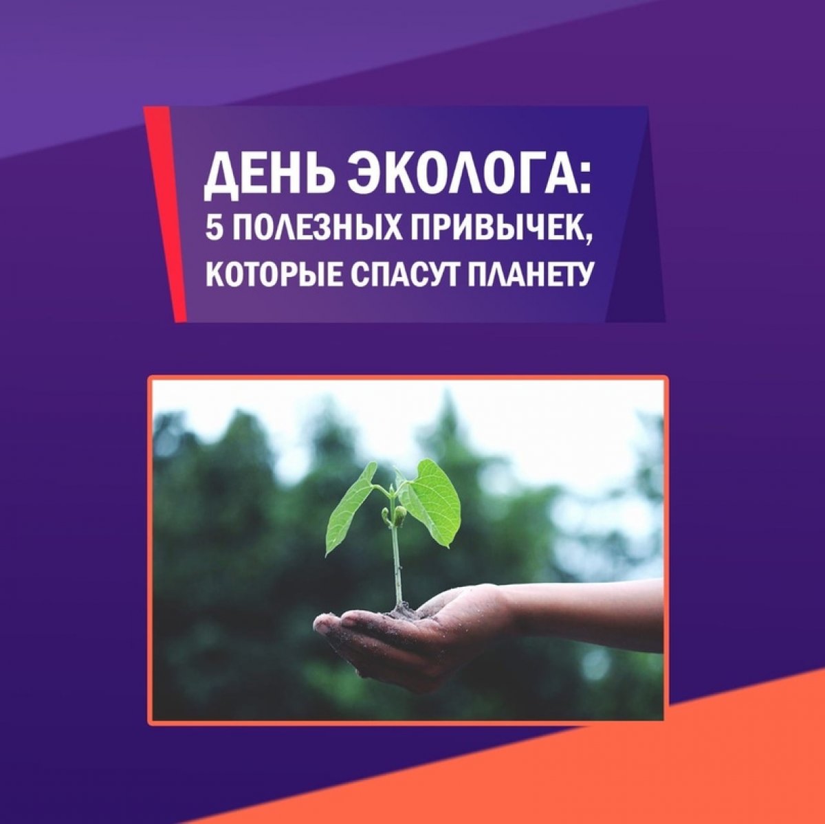 Сегодня День эколога – профессиональный праздник всех российских защитников природы. Мы и сами придерживаемся экологических принципов, поэтому решили поделиться с вами эко-лайфхаками, которые помогут сохранить планету