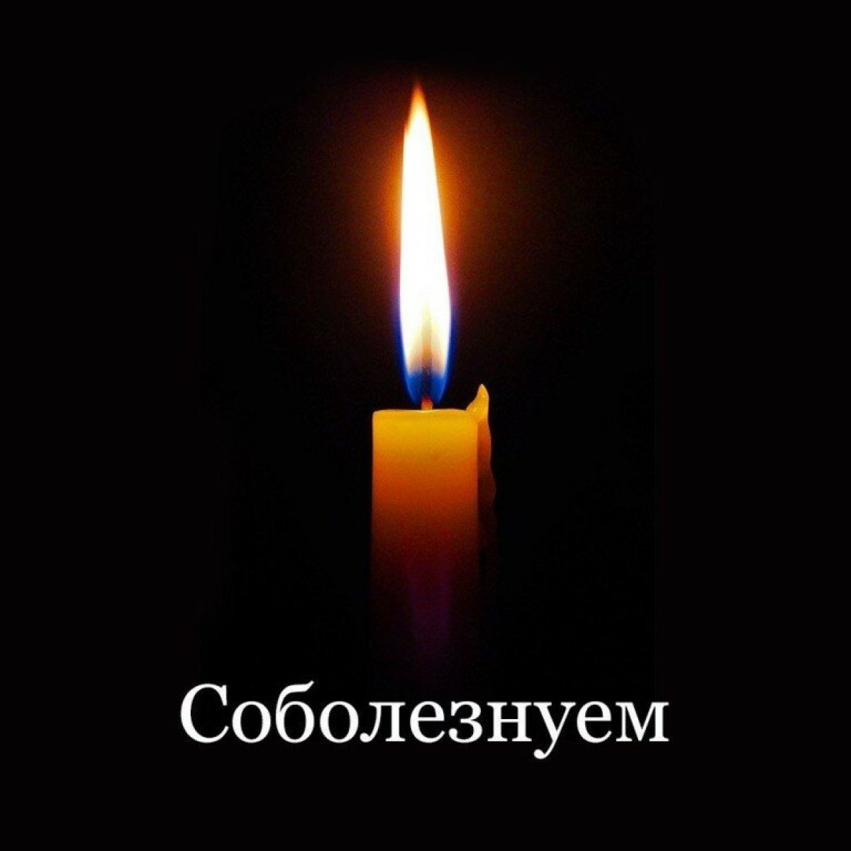 Уважаемые коллеги, обучающиеся, друзья!