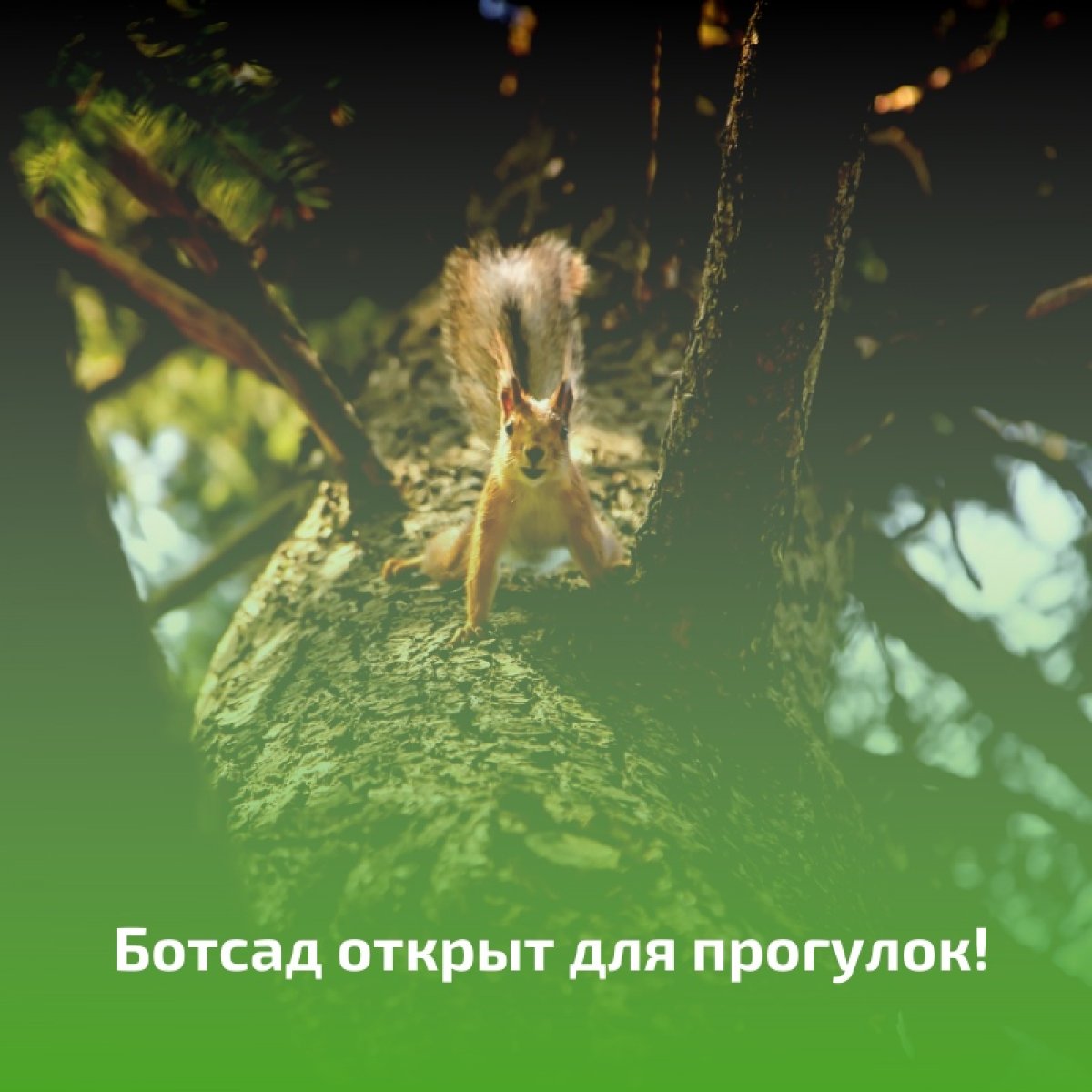 Уважаемые жители и гости города Краснодара! 📢