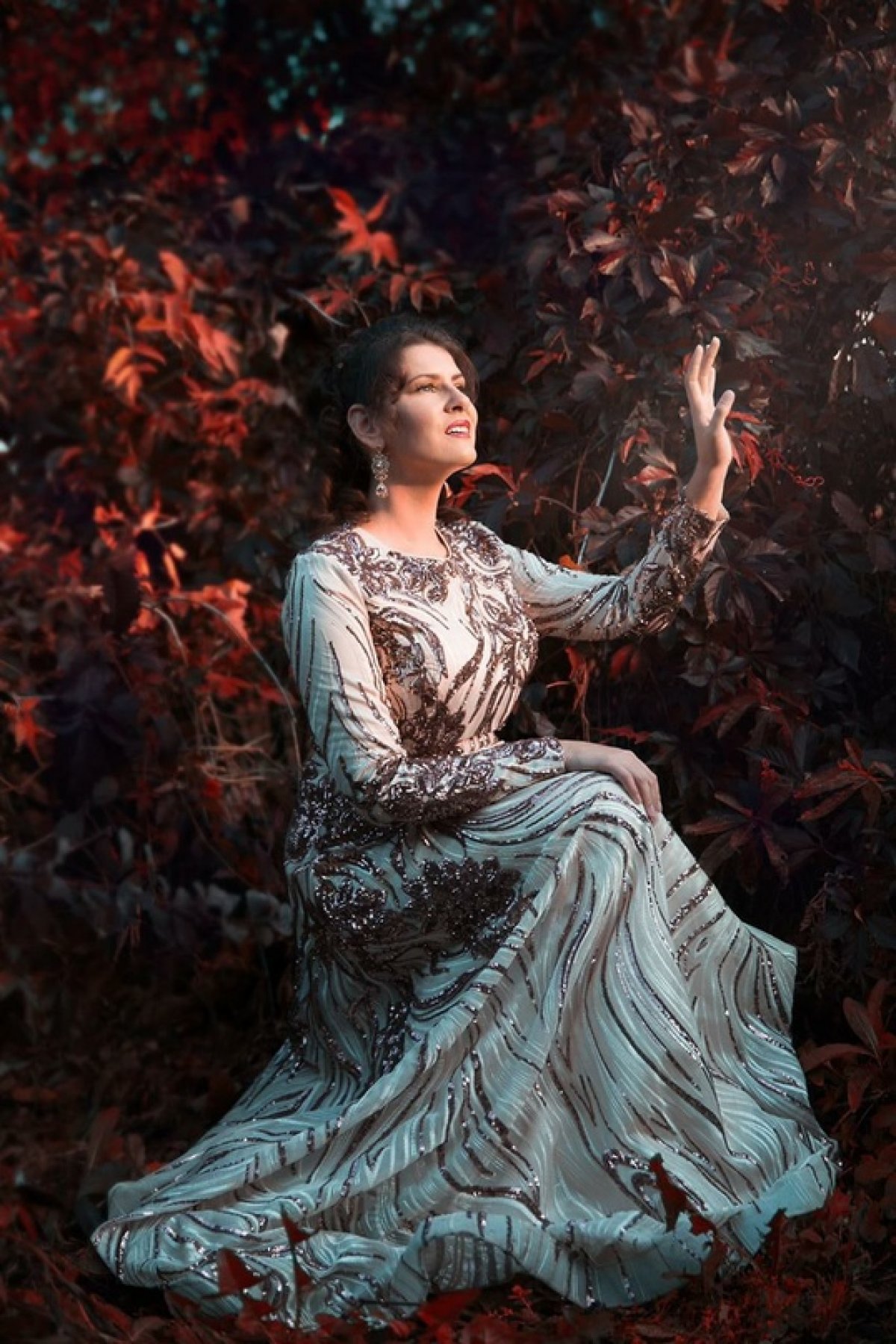 Узнайте новую историю обучения в :