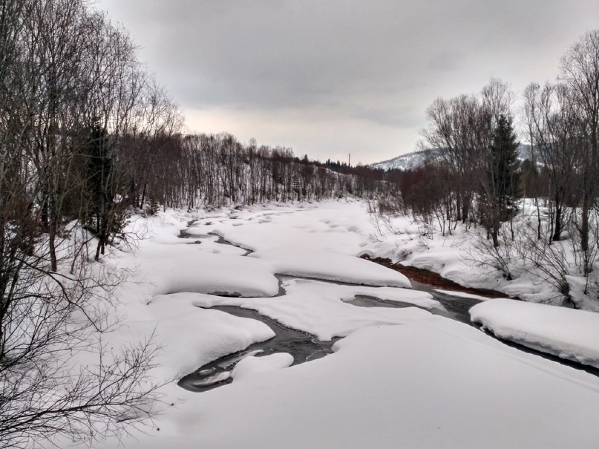 По домам: Кошурниково 🏡