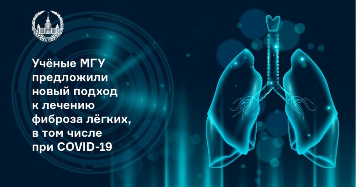Сотрудники Института регенеративной медицины МНОЦ МГУ предложили новый подход к лечению фиброза лёгких, а также профилактике и лечению фибротических осложнений, в том числе при COVID-19. Работа опубликована в журнале Cells