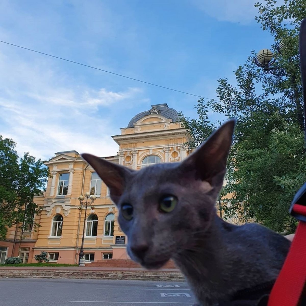 Знаете ли вы Знаете ли вы