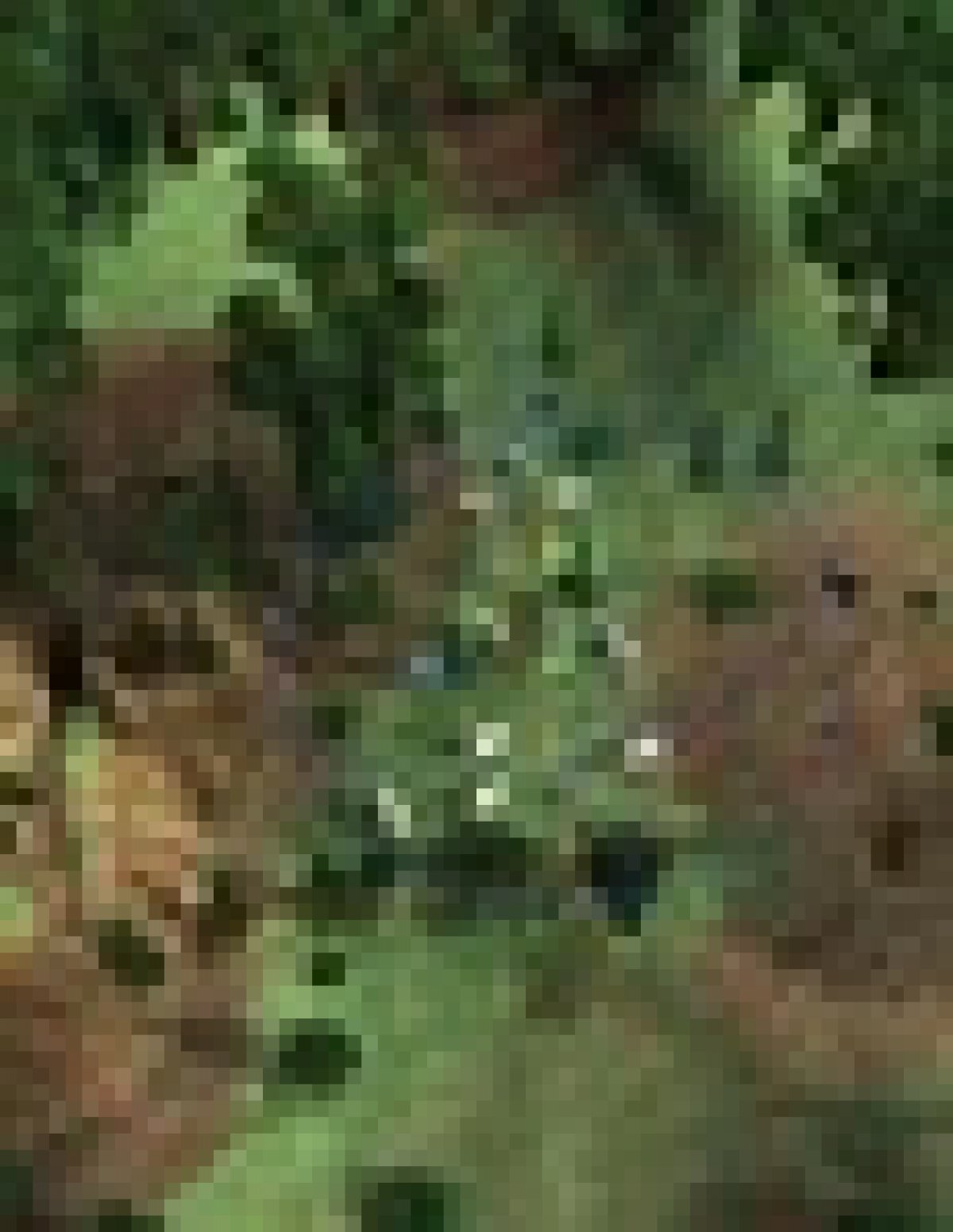 🔥15-16 июня прошла защита выпускных квалификационных работ на специальности "Программирование в компьютерных системах" (группы П-47 и П-47с). Студенты автоматизировали процессы во всех областях: от медицинских центров 🔥15-16 июня прошла защита выпускных квалификационных работ на специальности "Программирование в компьютерных системах" (группы П-47 и П-47с). Студенты автоматизировали процессы во всех областях: от медицинских центров