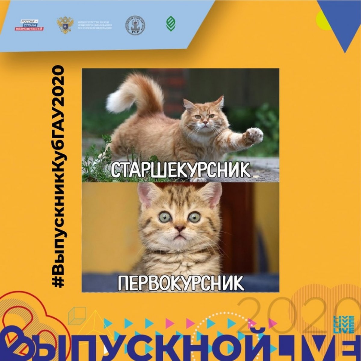 📢 Выпускник, покажи, как ты изменился за годы студенчества! Опубликуй коллаж со своими фото на первом и последнем курсах и поставь хештеги: