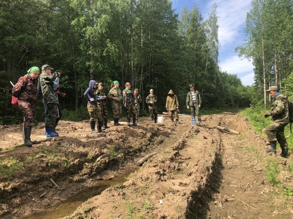 Козлов Лесное хозяйство