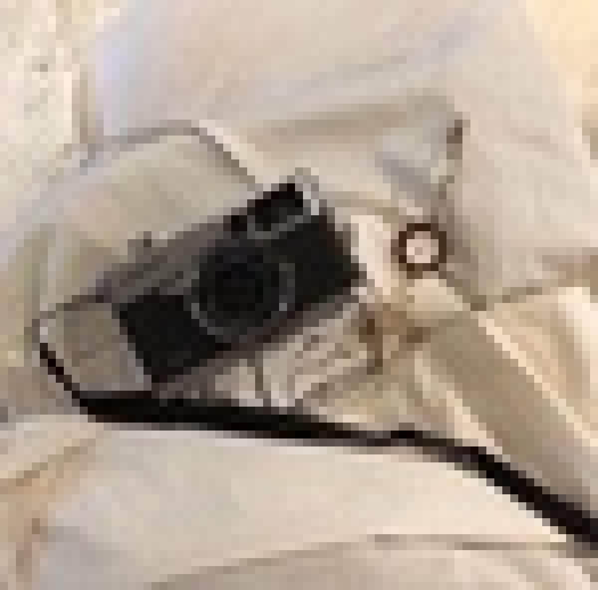 Онлайн-выставки для любителей фотографии