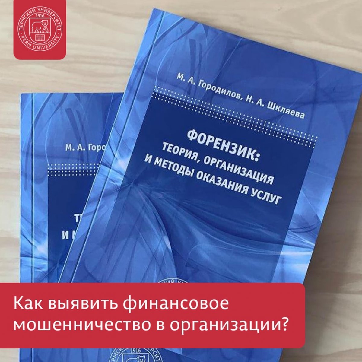 Экономисты ПГНИУ издали монографию о выявлении экономических преступлений в организациях