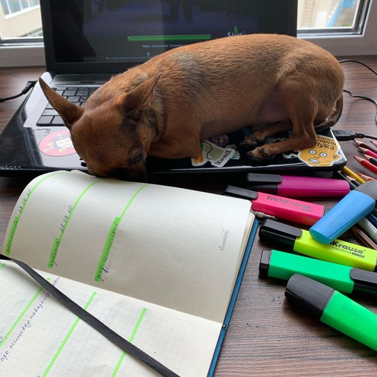 Знакомьтесь, это Кирилл!