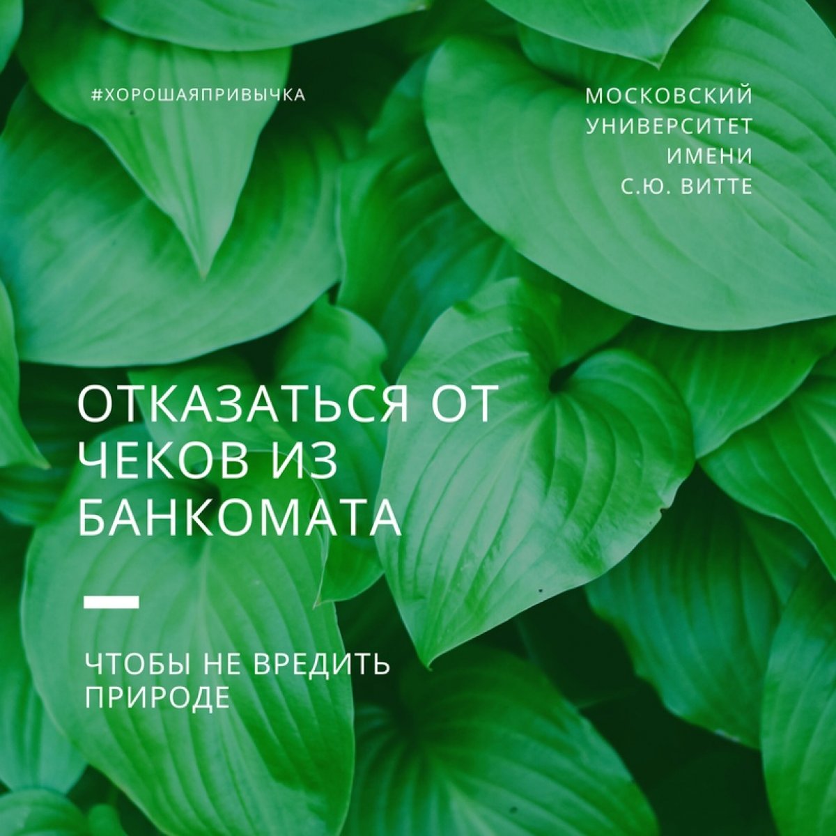 Хорошая привычка: Отказаться от чеков из банкомата