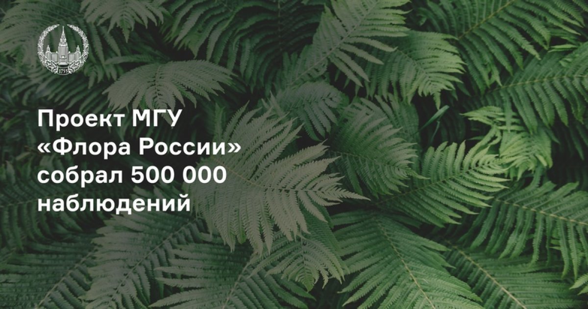 Полмиллиона дикорастущих растений собрали участники проекта МГУ «Флора России» на международной платформе iNaturalist.
