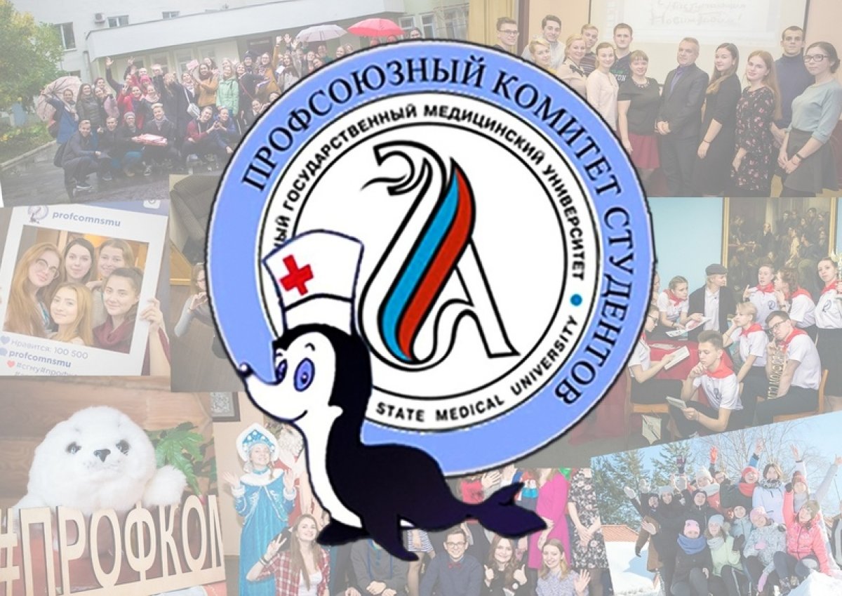 Добрый день! 🌞