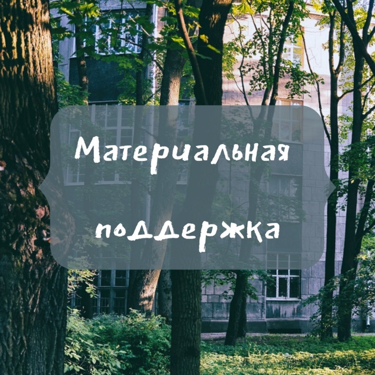 ❗Материальная поддержка❗