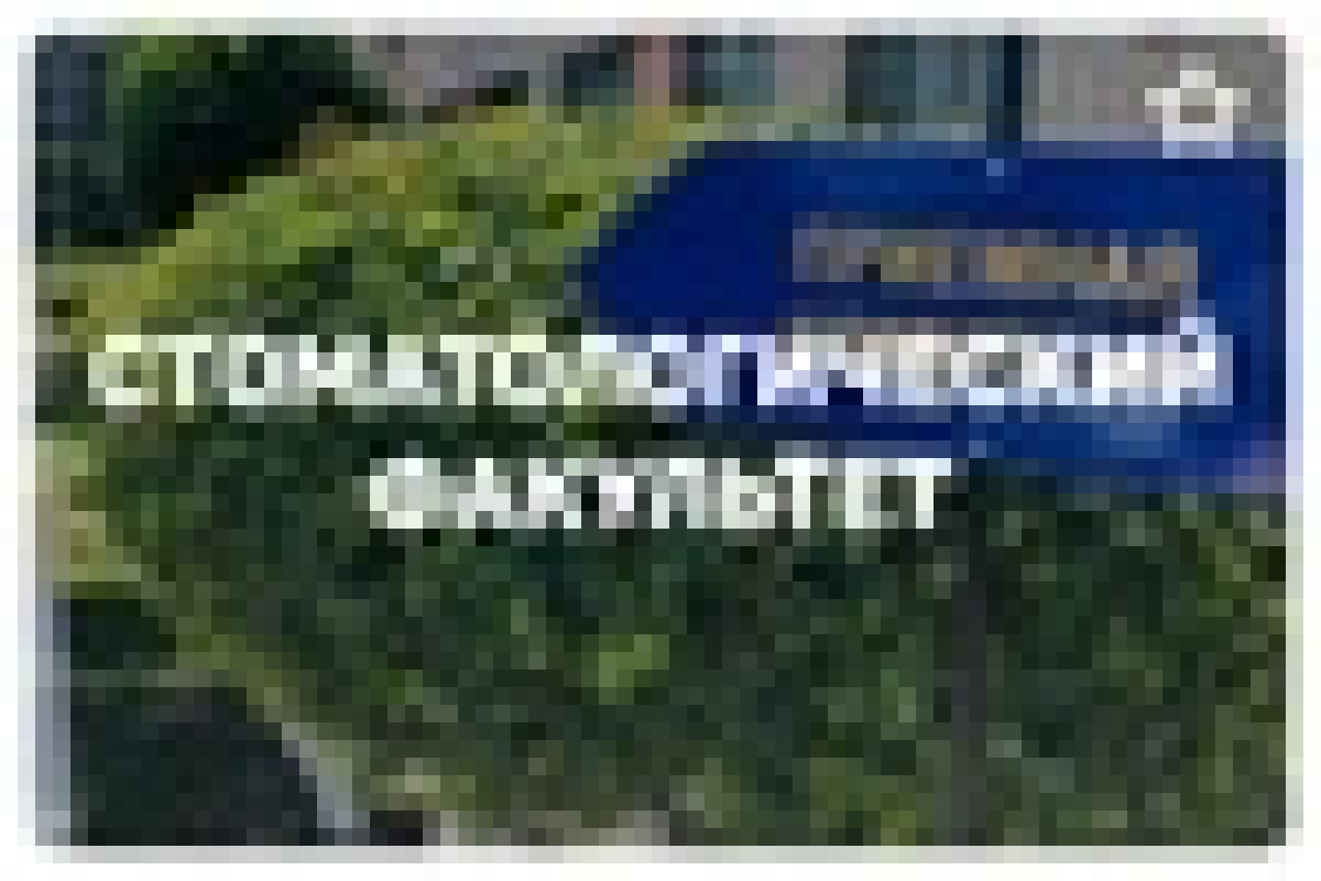 О СТОМАТОЛОГИЧЕСКОМ ФАКУЛЬТЕТЕ