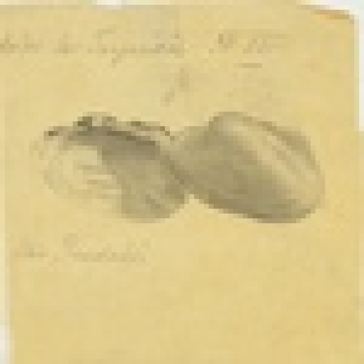 В этот день 160 лет назад родился геолог и палеонтолог, выпускник Императорского университета Владимир Амалицкий В этот день 160 лет назад родился геолог и палеонтолог, выпускник Императорского университета Владимир Амалицкий