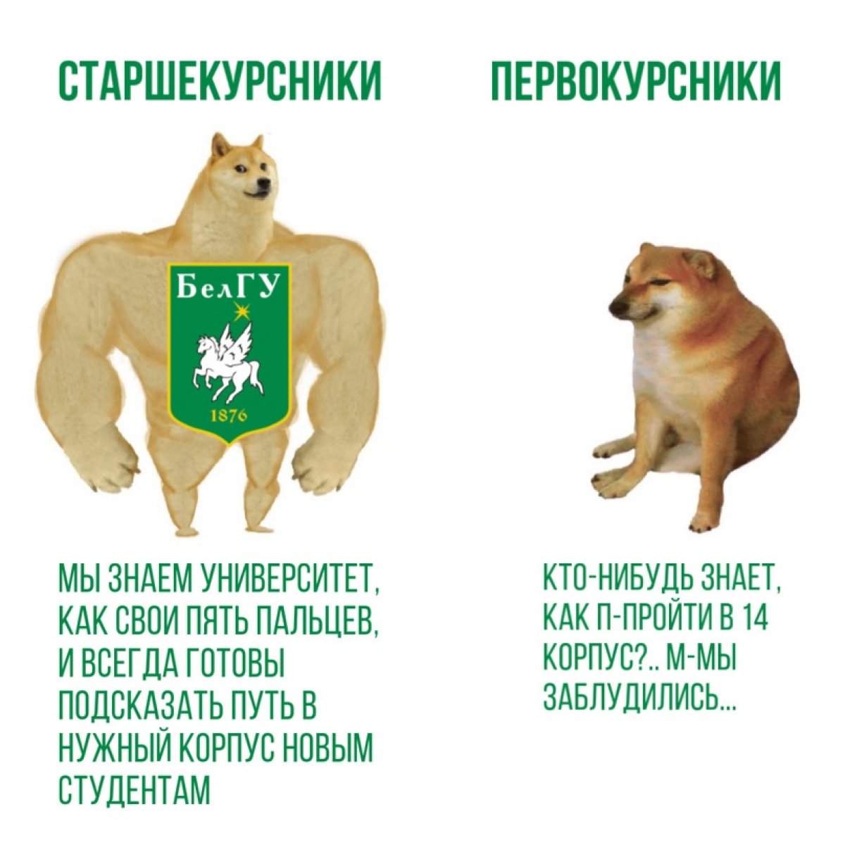 🙏🏻Вот бы снова услышать топот маленьких ножек...