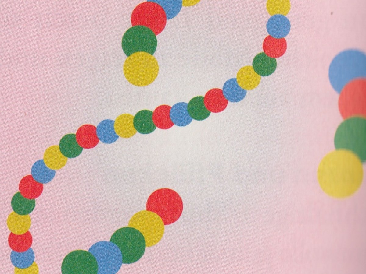 Ученые из Национального института исследования генома человека в США полностью расшифровали Х-хромосому