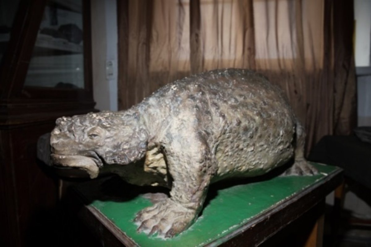 В хранятся тысячи уникальных палеонтологических объектов. Наш Университет приглашает познакомиться с редкими экспонатами на виртуальной выставке, посвящённой истории палеонтологии начала XIX — середины XX веков: https://vk.cc/awZw4f