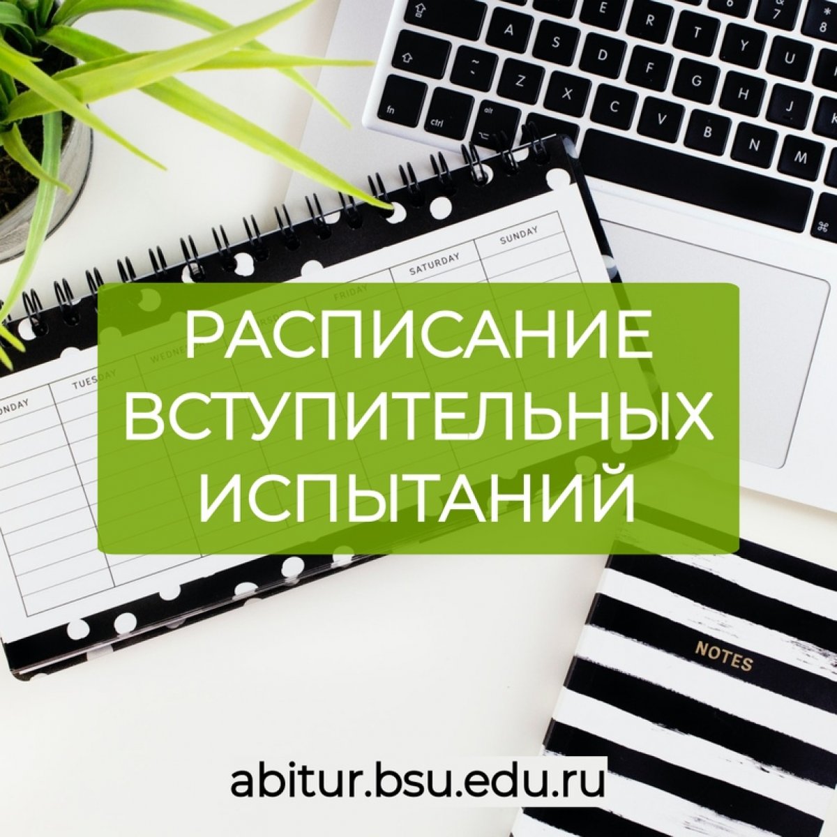 📌 Опубликовано расписание вступительных испытаний в НИУ «БелГУ»