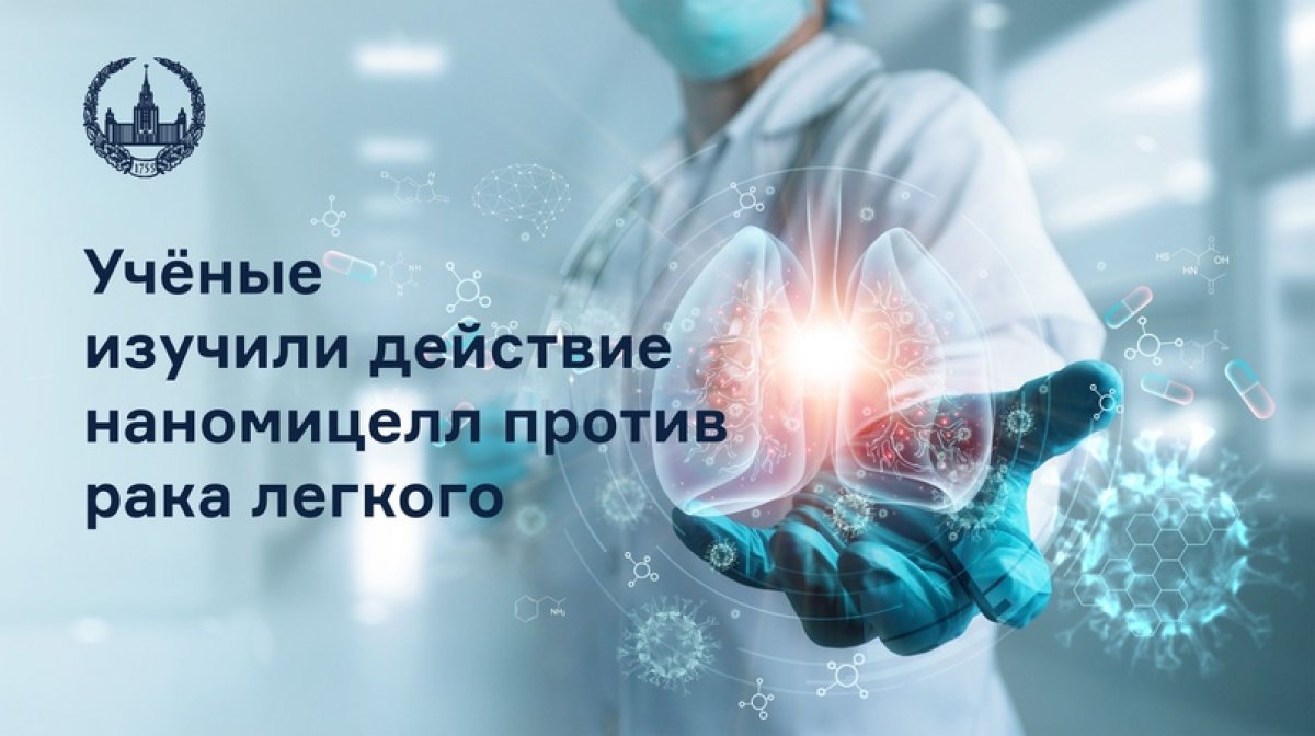 Учёные под руководством профессора химического факультета МГУ и Университета Северной Каролины Александра Кабанова исследовали действие наномицелл противовирусного препарата резикимод против злокачественной опухоли легких.