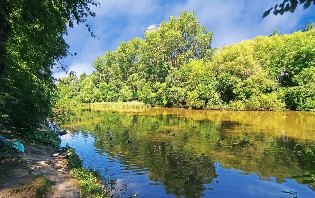 Парк ургупс екатеринбург фото