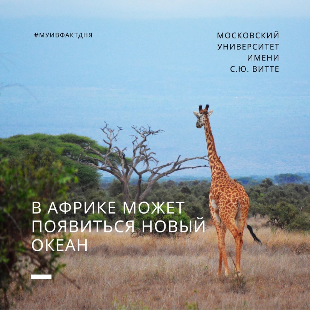 В восточной части Африки образуется тектонический разлом, на месте которого за 5-10 миллионов лет может образоваться новый океан