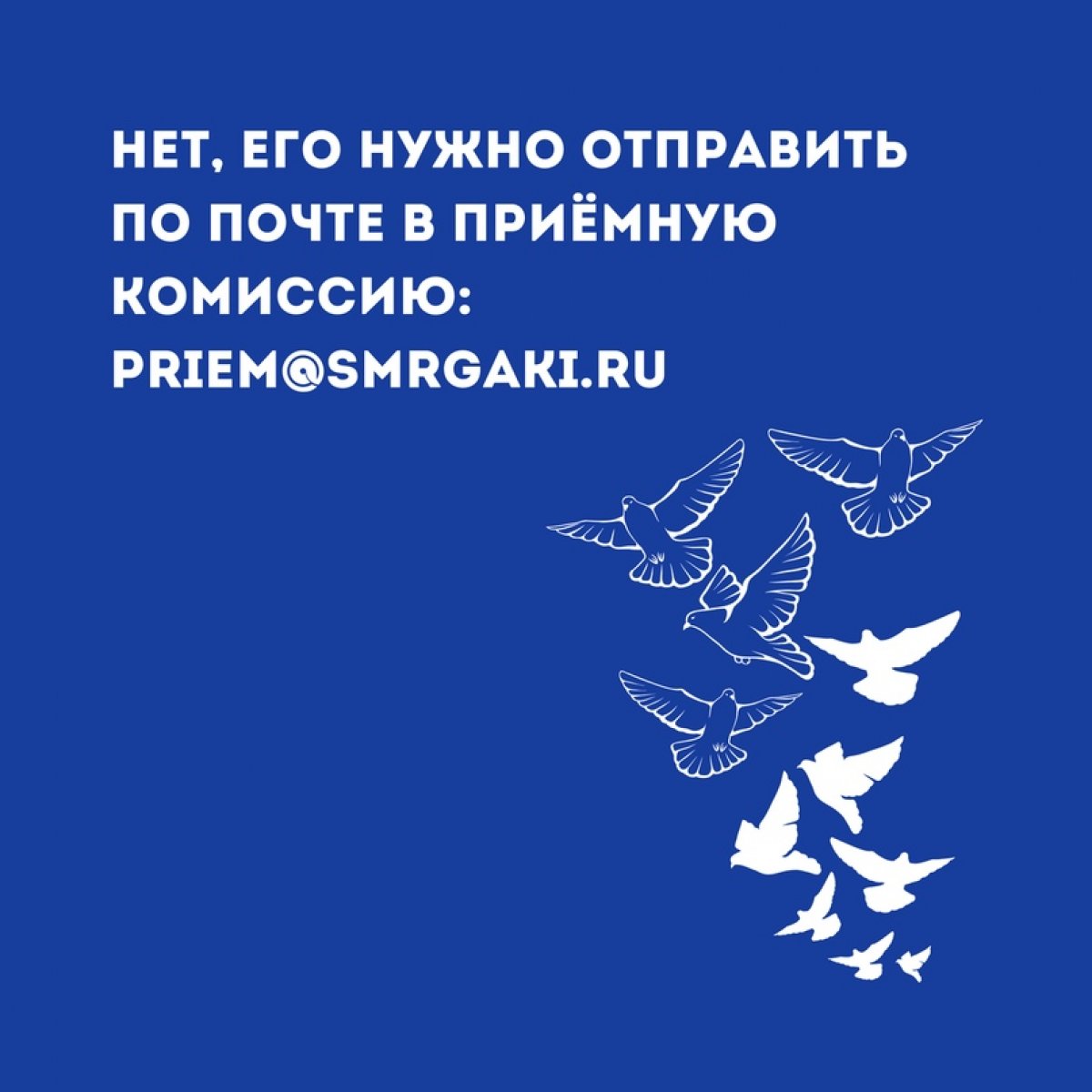 Нужно ли предоставлять оригинал диплома для зачисления в этом году? Как выбрать даты вступительных испытаний? Куда направить своё портфолио?