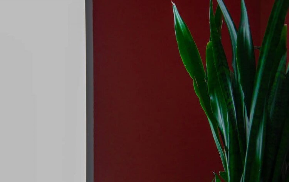 Соскучились?😊Самые узнаваемые локации в ГИТРе от студентов операторского факультета Андрея Ледяева и Анастасии Угрюмовой