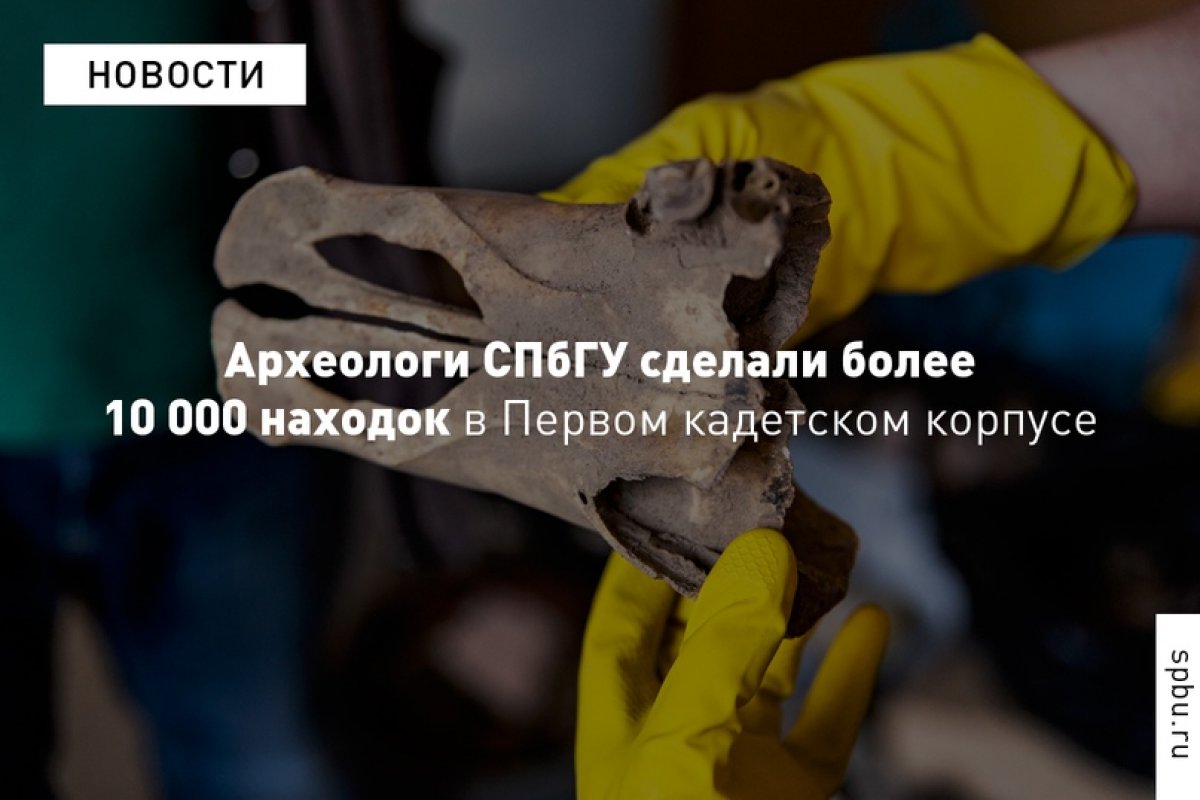 «Уверен, что в будущем находки принесут нам еще немало сюрпризов»