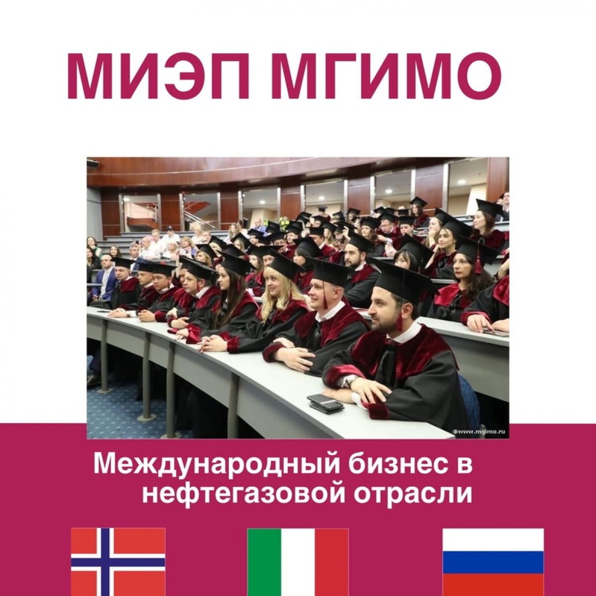 🇳🇴 🇷🇺 🇮🇹 Российско-норвежско-итальянская модульная программа МВА «Международный бизнес в нефтегазовой отрасли»