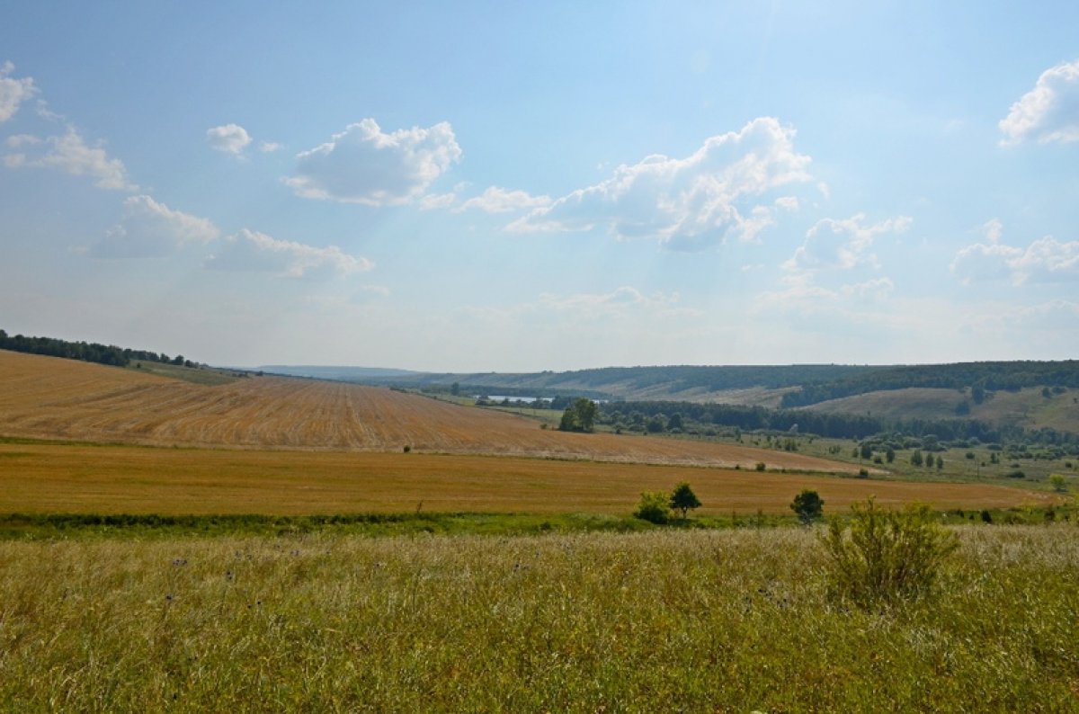 Партнеры СамГАУ вышли на полевые эксперименты по использованию гиперспектрометра в АПК