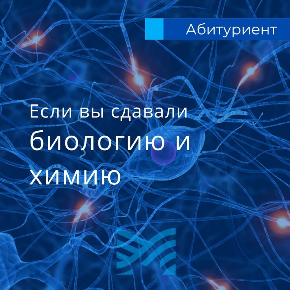 🏆 Надеемся, вы довольны результатами ЕГЭ по химии и биологии!