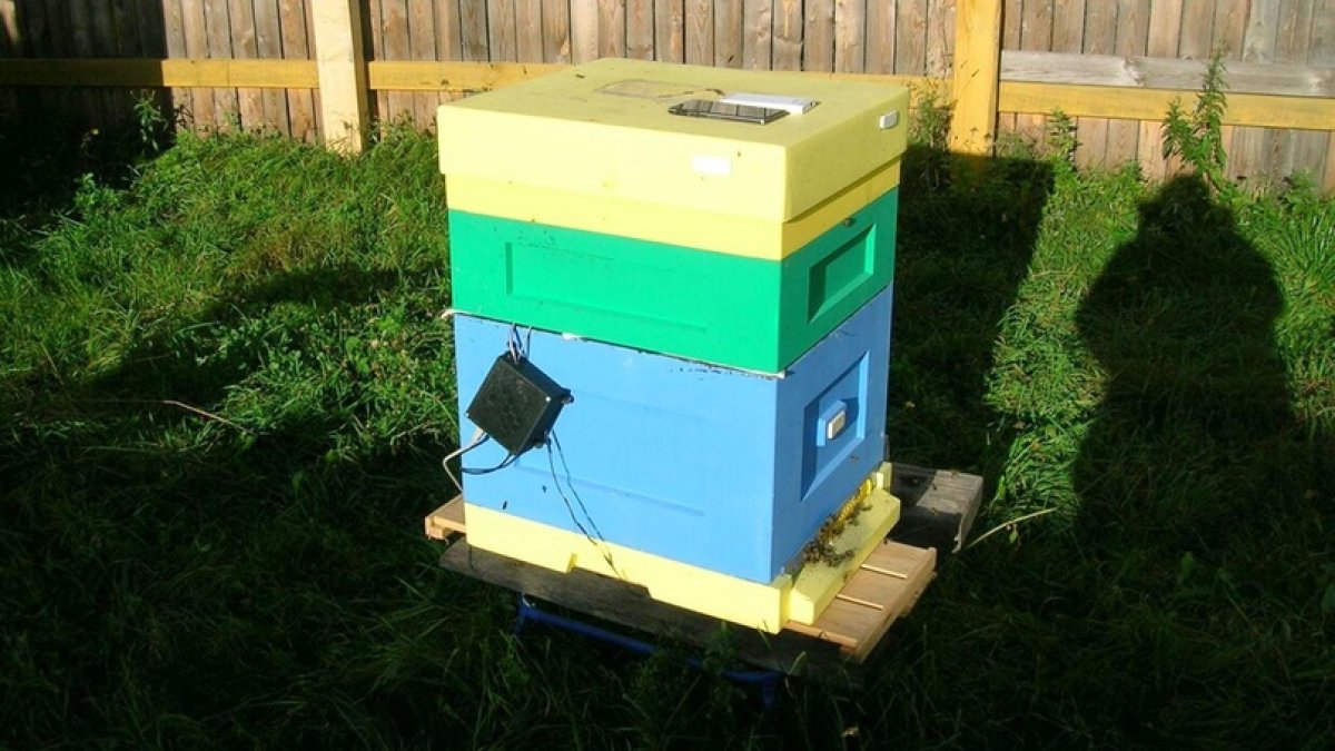 В Молодежном НИИ СПбГЭТУ «ЛЭТИ» разработан программно-аппаратный комплекс