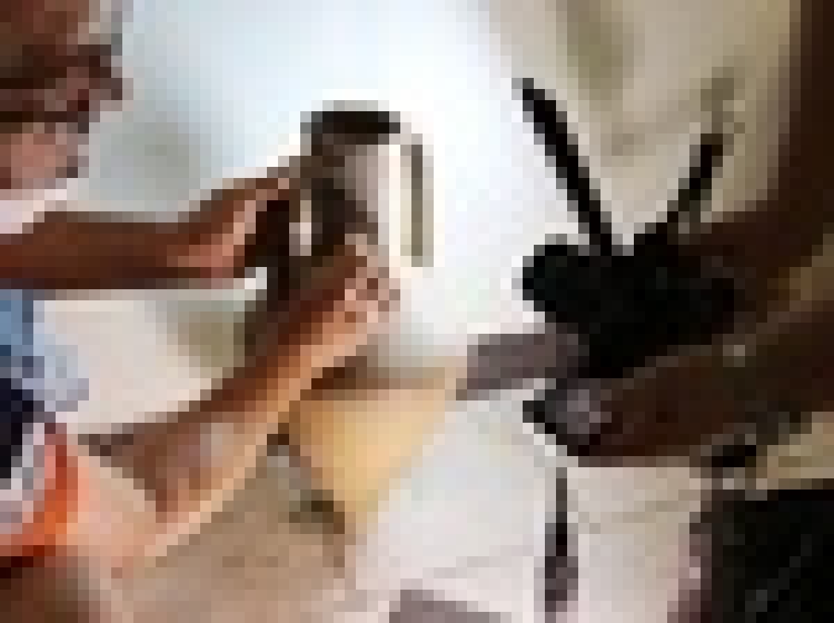 🏮 Учёный СГУ побывал с рабочим визитом в историко-археологическом музее Краснодара