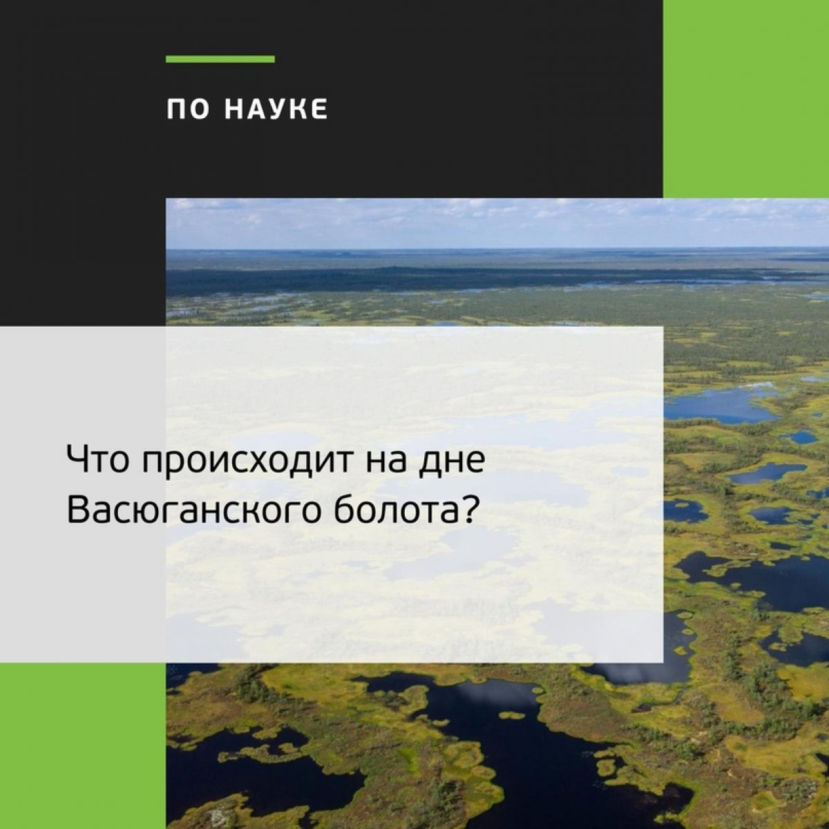 💦Васюганскому болоту порядка 5-12 тысяч лет. По площади оно больше, чем Швейцария