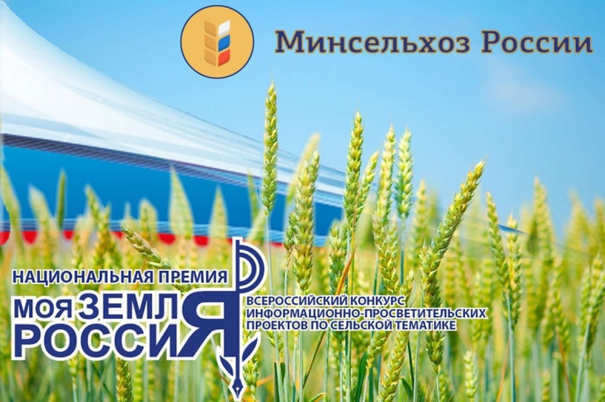 На конкурс информационных проектов «Моя земля – Россия» поступило более 500 проектов